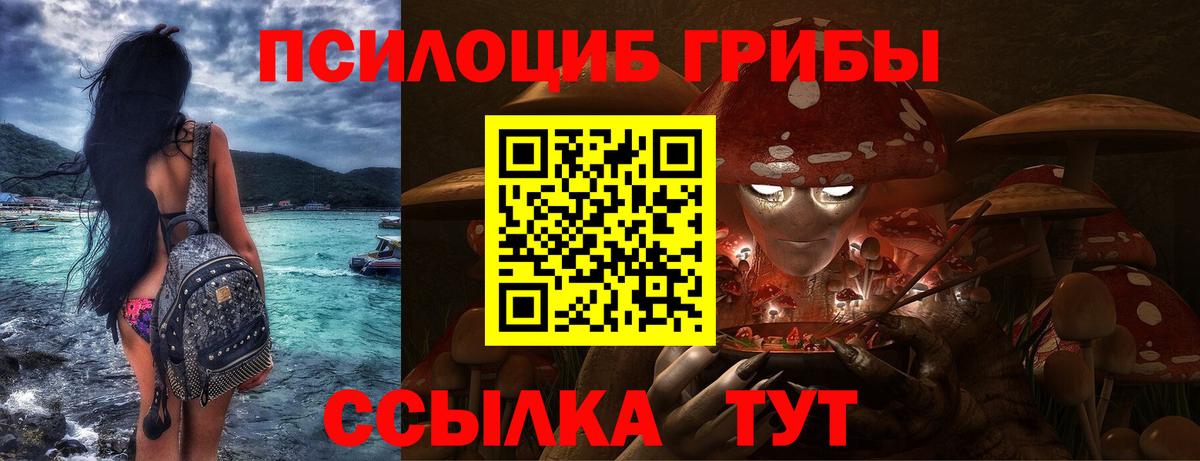Елизово  Галлюциногенные грибы ЛСД  Вход с VPN 
